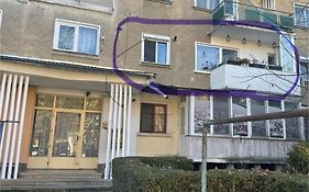 A3M Apartment